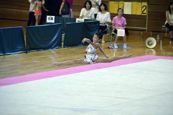 ���㥤��ɥե��ɥ��å�2011