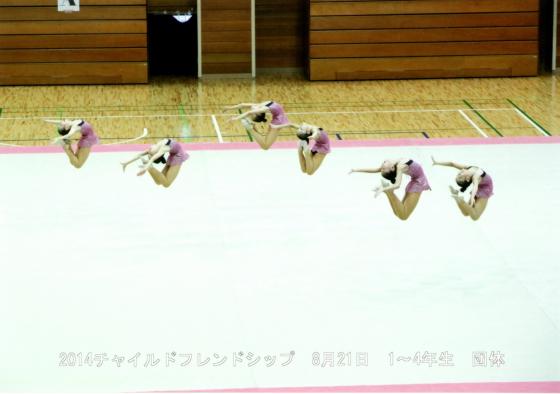 �ե��ɥ��å�2014